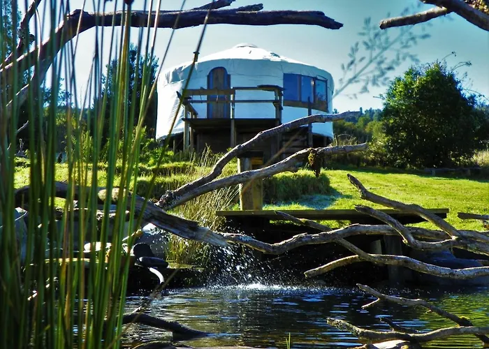 Yurts del Taique
