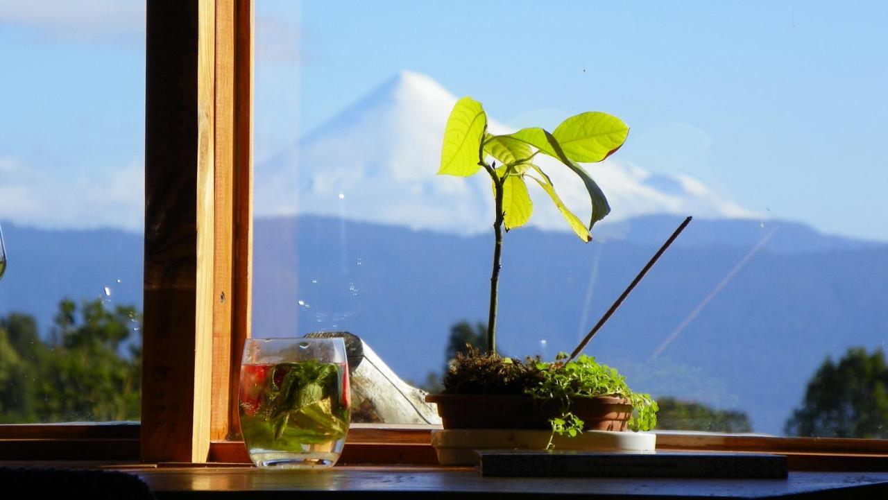 Yurts del Taique * Puyehue