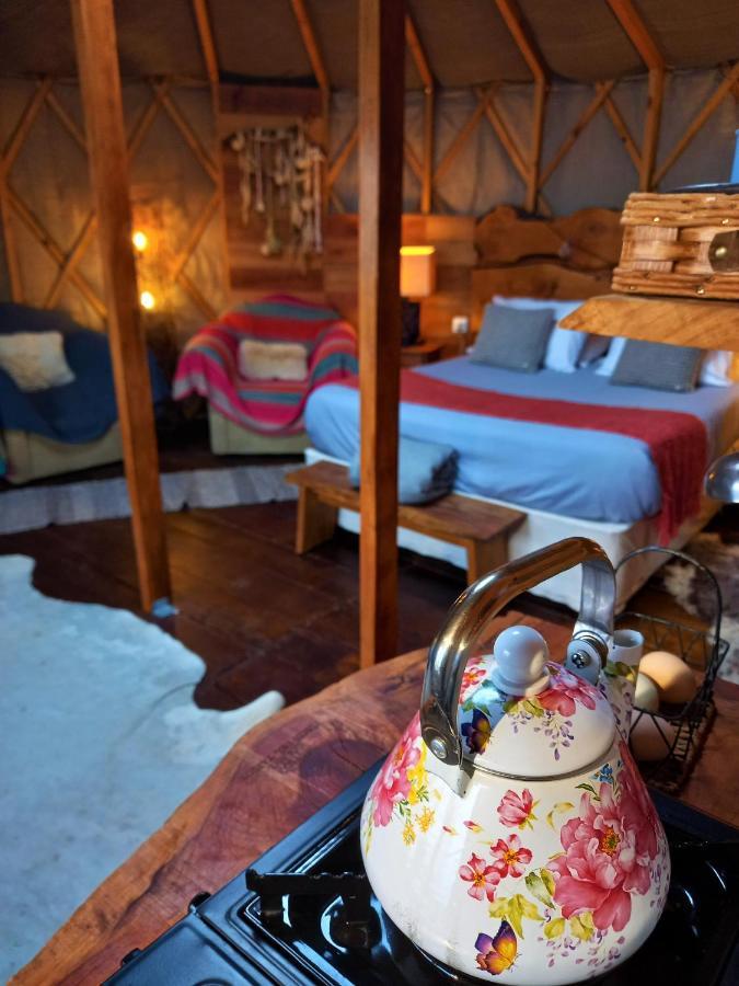 Yurts del Taique Alojamento