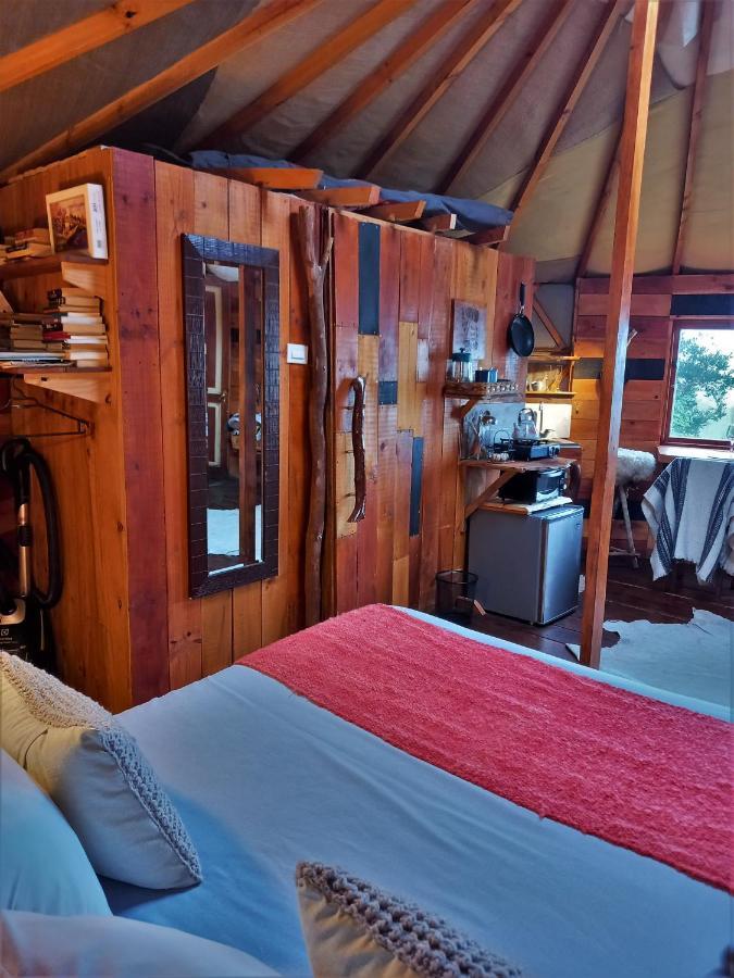Yurts del Taique Puyehue