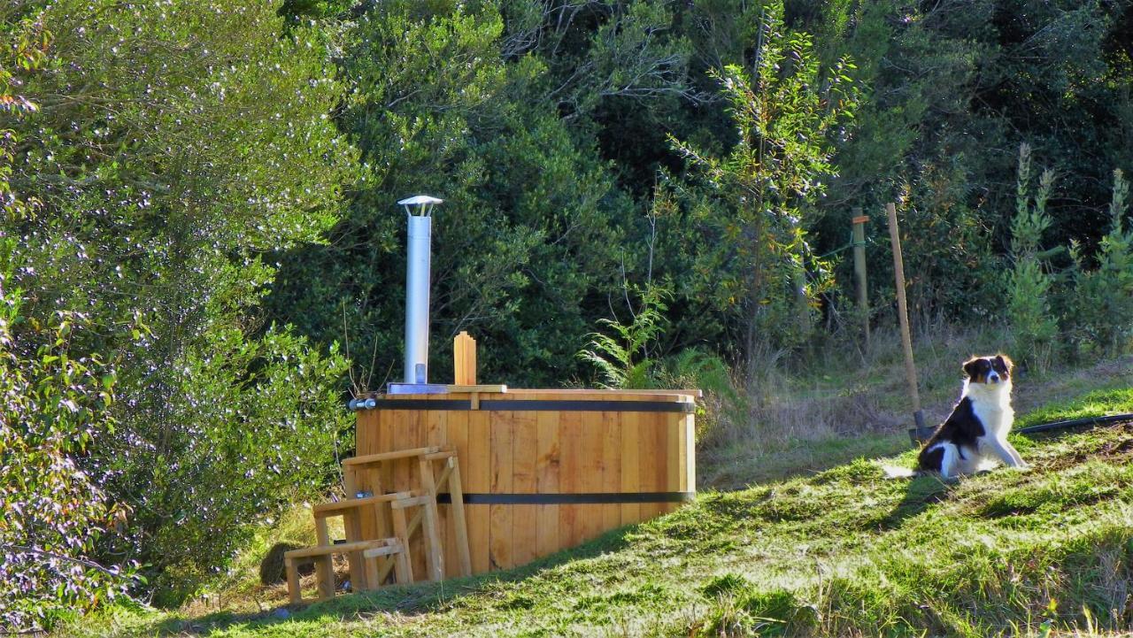 Yurts del Taique Alojamento Puyehue