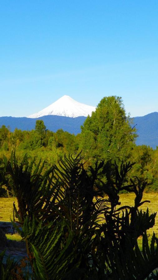 Yurts del Taique