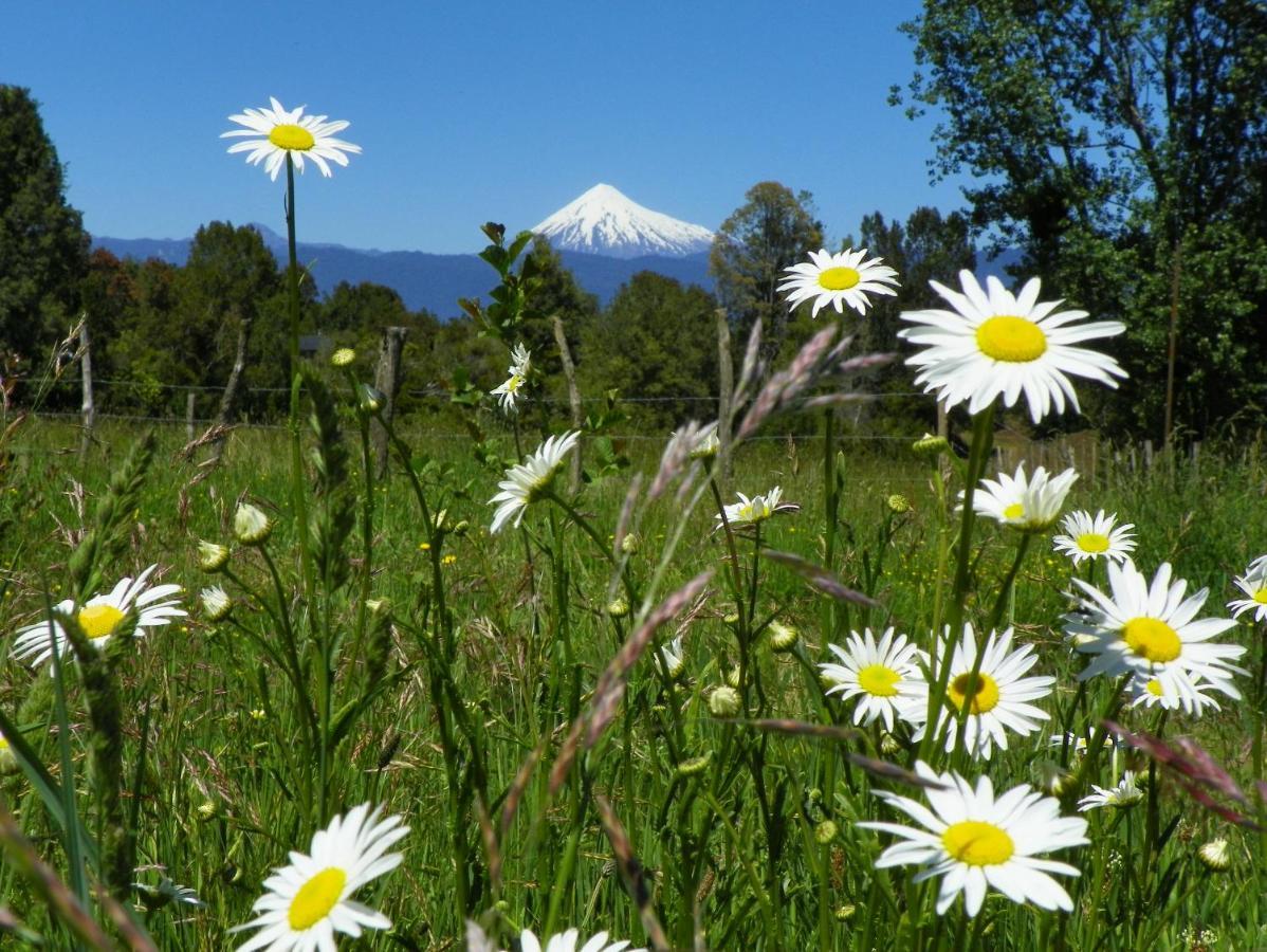 Yurts del Taique Alojamento Puyehue