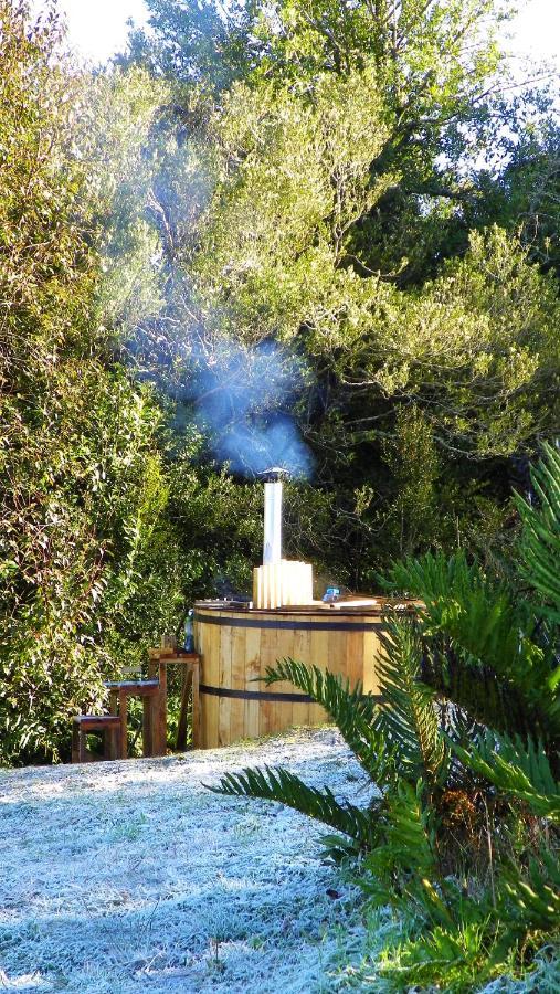 Alojamento Yurts del Taique Puyehue