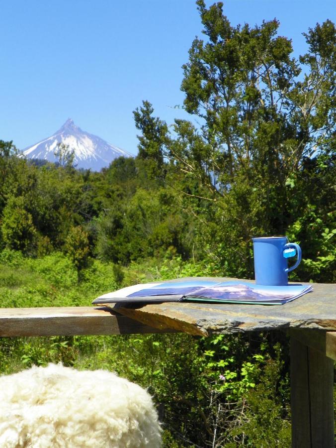 Yurts del Taique Alojamento