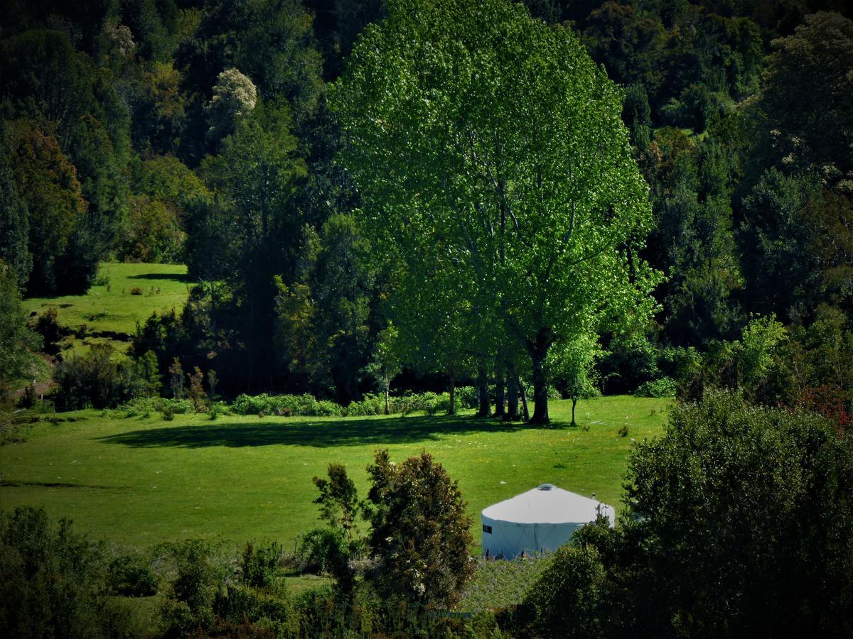 Yurts del Taique * Puyehue