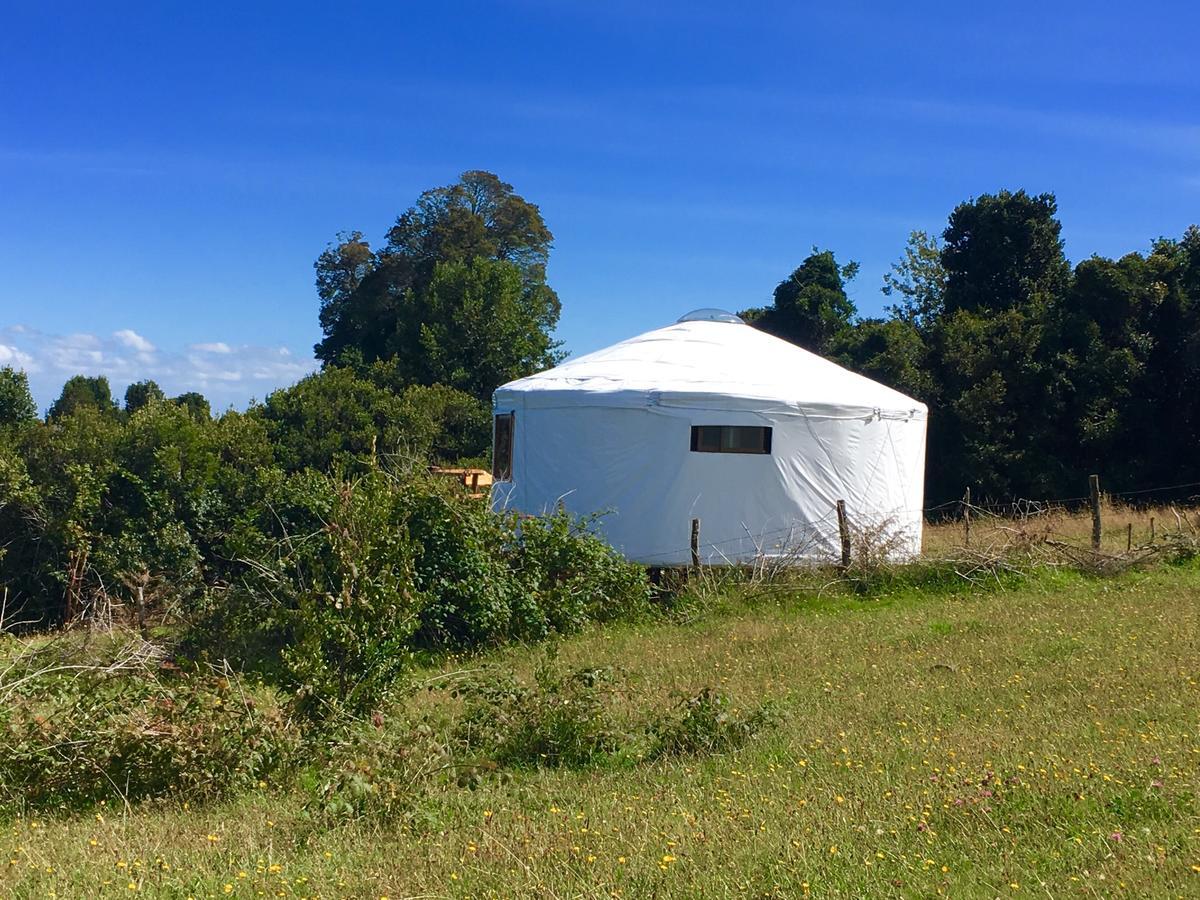 Yurts del Taique Alojamento