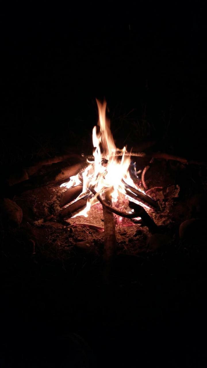 Yurts del Taique *