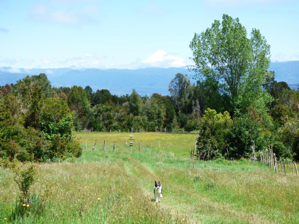 Yurts del Taique * Puyehue